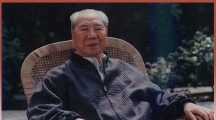 中国人民解放军上将：杨成武