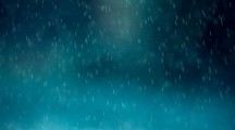 雨中的记忆
