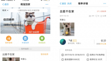 这款支付宝小程序让你实现“共享养宠”，它是如何做到的？