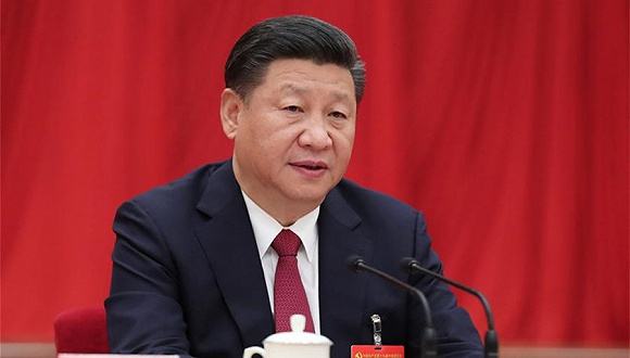 习近平强调：切实学懂弄通做实党的十九大精神 