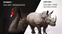 毁掉你的不是黑天鹅，而是灰犀牛
